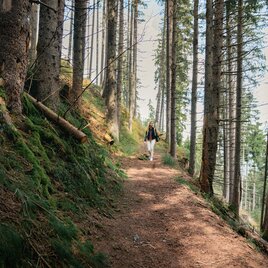 Wanderung auf dem Stallwiesenweg | © Christoph Lukas