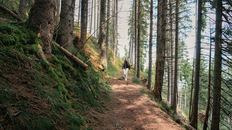 Family Hiking Trail Stallwiesenrunde - Touren-Impression #2.1 | © Christoph Lukas