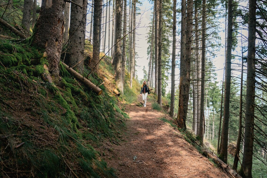 Family Hiking Trail Stallwiesenrunde - Touren-Impression #1 | © Christoph Lukas
