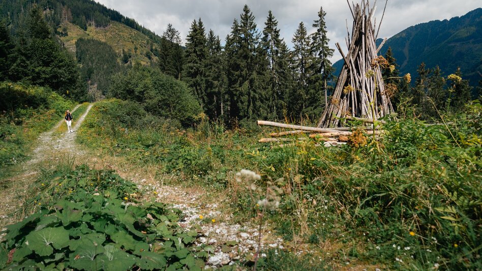 Family Hiking Trail Stallwiesenrunde - Touren-Impression #2.5 | © Christoph Lukas