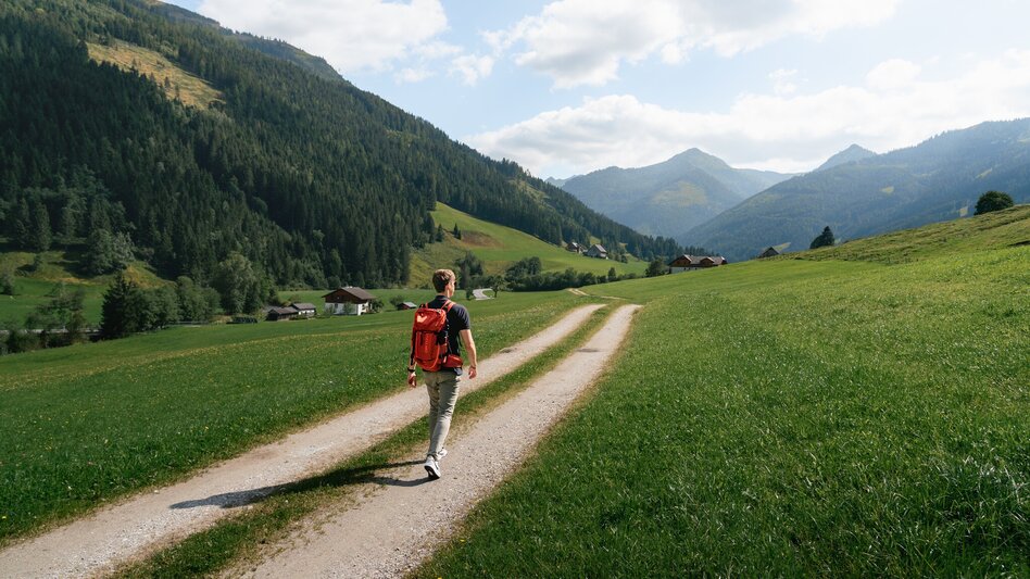Walking Path Roundway Vorderwald - Touren-Impression #2.1 | © Christoph Lukas