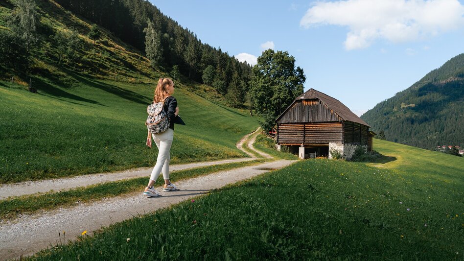 Walking Path Roundway Vorderwald - Touren-Impression #2.14 | © Christoph Lukas