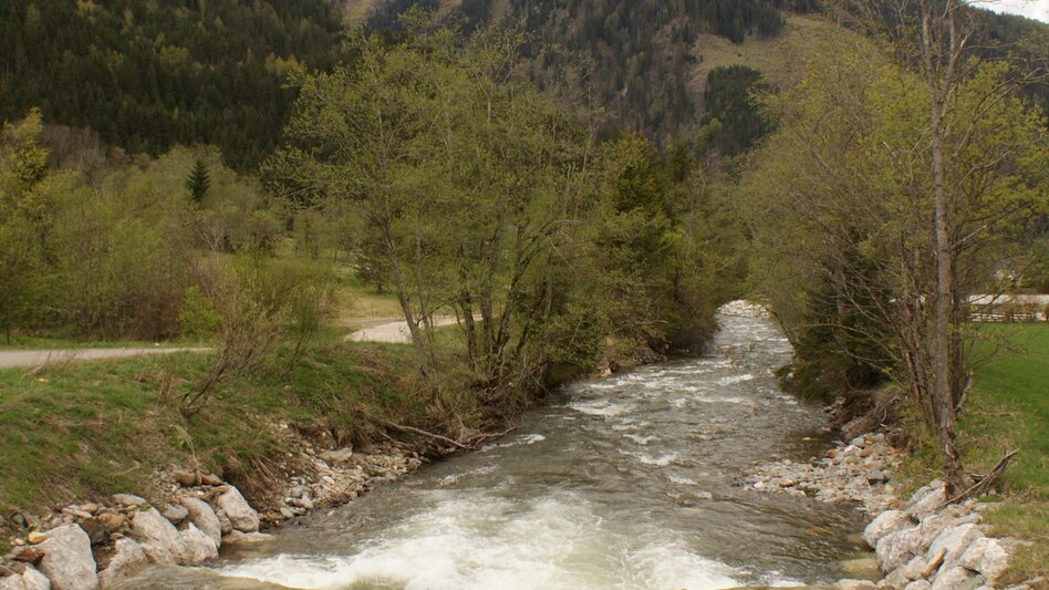 Water Trail Runde am Bach - Touren-Impression #2.3 | © Erlebnisregion Schladming-Dachstein