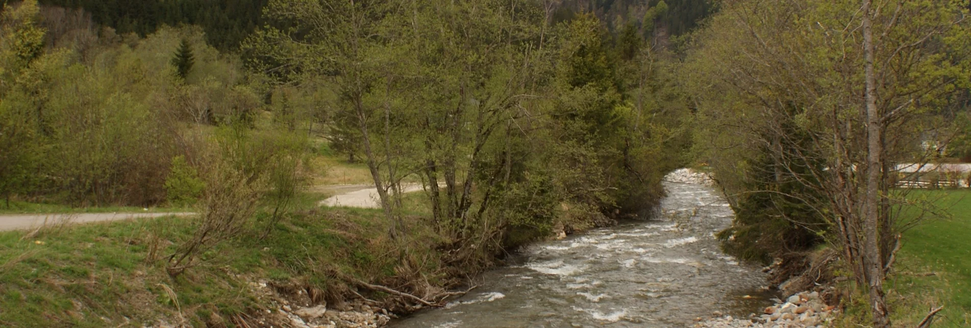 Wasserwege Runde am Bach - Touren-Impression #1 | © Erlebnisregion Schladming-Dachstein