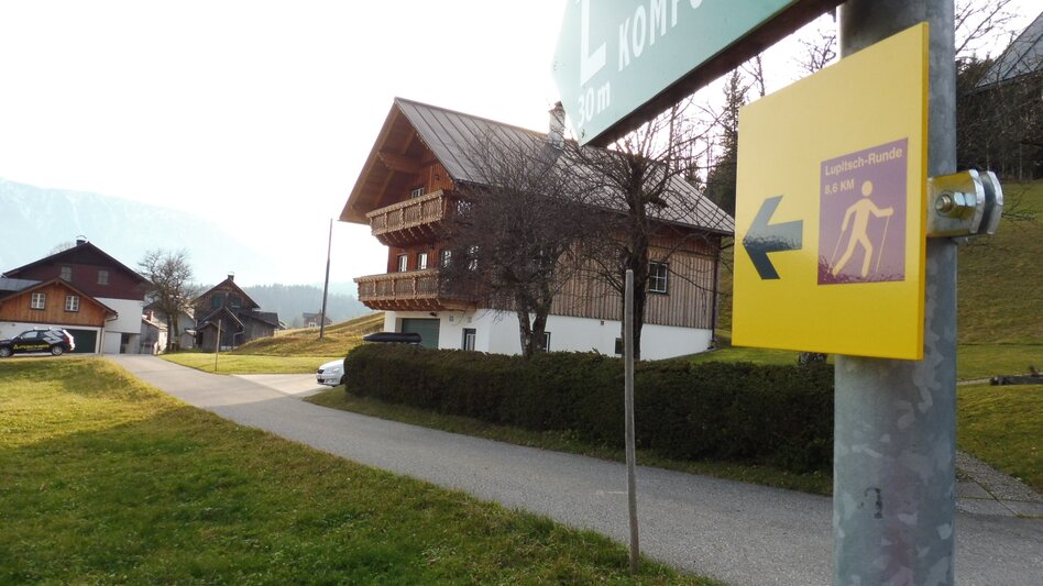 Nordic Walking Tour Altaussee-Lupitsch - Touren-Impression #2.4 | © Ausseerland