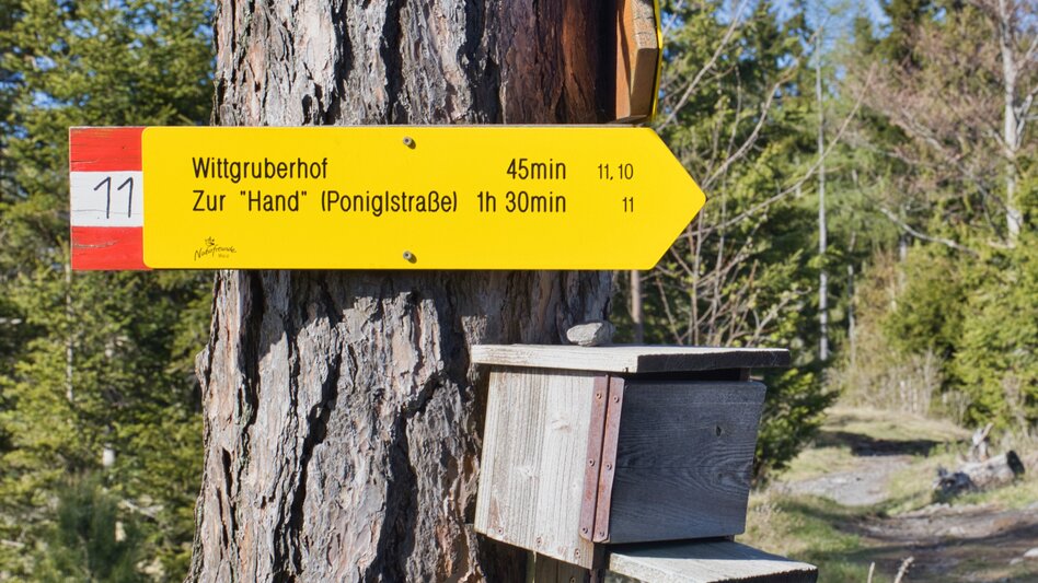 Wanderung Zetz-Runde, Anger - Touren-Impression #2.12