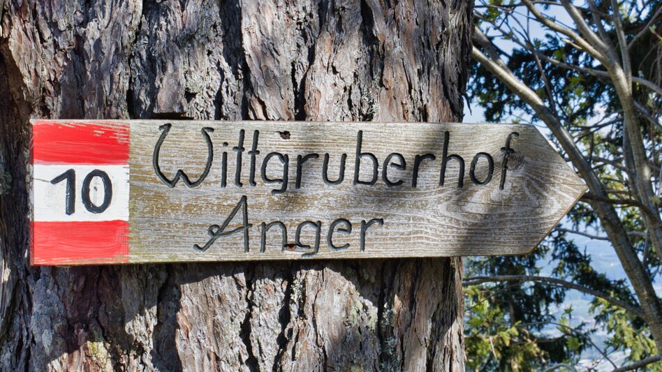 Wanderung Zetz-Runde, Anger - Touren-Impression #2.13