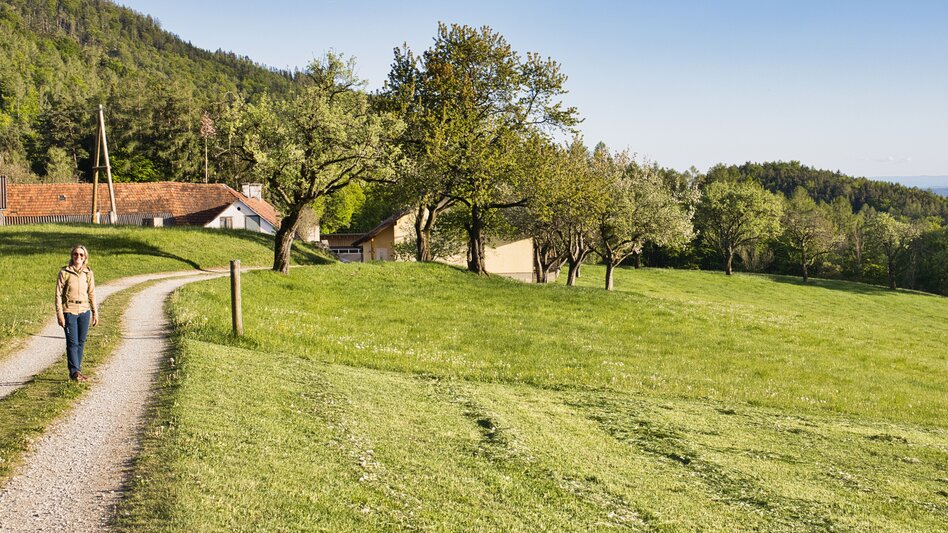 Wanderung Zetz-Runde, Anger - Touren-Impression #2.14