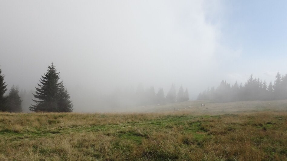 Wanderung Von Etmißl auf den Floning - Touren-Impression #2.4 | © Marktgemeinde Thörl