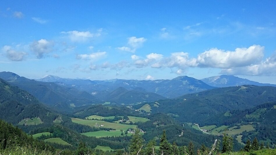 Wanderung Hohe Student - Gipfeltour - Touren-Impression #2.4 | © TV Hochsteiermark
