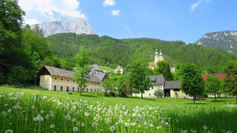 Wanderung Habsburg Meile - Auf den Spuren der Habsburger in Radmer - Touren-Impression #2.2 | © TVB Erzberg-Leoben