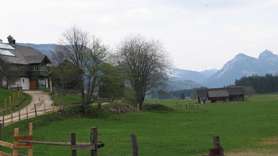 Wanderung Kinderwagentour im Ortsteil Krungl - Touren-Impression #2.3 | © TVB Ausseerland Salzkammergut_Rastl