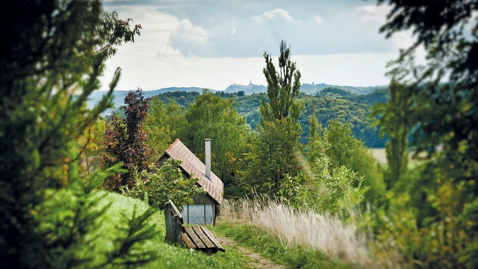 Radfahren Rad&Bahn Gleichenberger Tour - Touren-Impression #2.5 | © Thermen- & Vulkanland