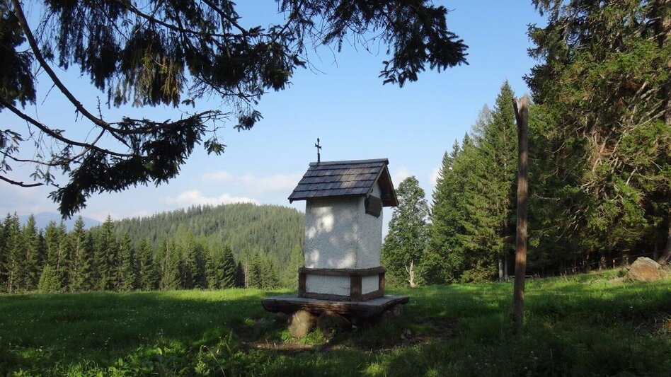 Wanderung Von Etmißl auf die Federleben - Touren-Impression #2.1 | © Marktgemeinde Thörl