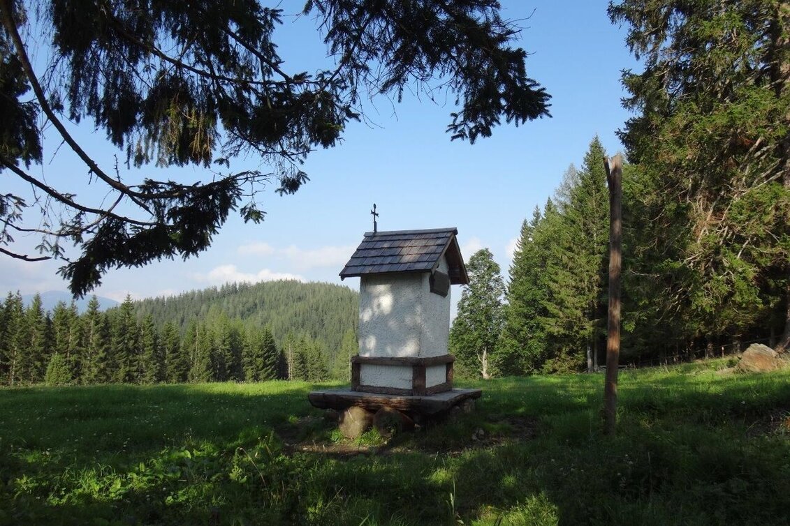 Wanderung Von Etmißl auf die Federleben - Touren-Impression #1 | © Marktgemeinde Thörl