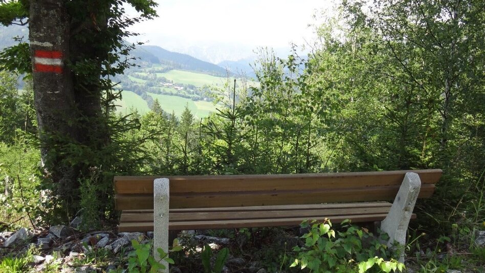 Wanderung Von Etmißl auf die Federleben - Touren-Impression #2.3 | © Marktgemeinde Thörl