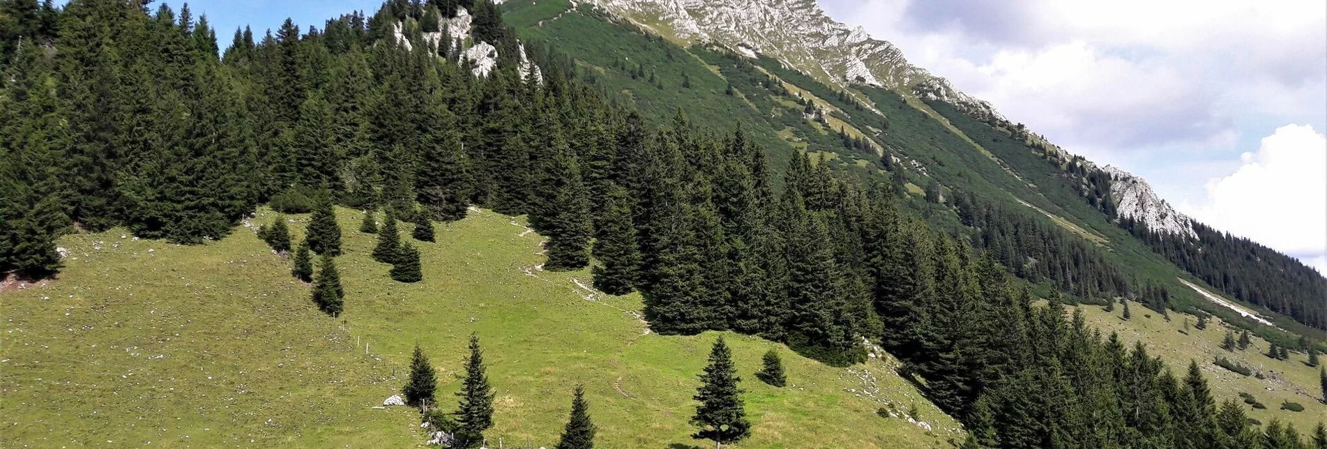 Bergtour Von der Bosruckhütte auf den Großen Pyhrgas - Touren-Impression #1 | © TV Gesäuse