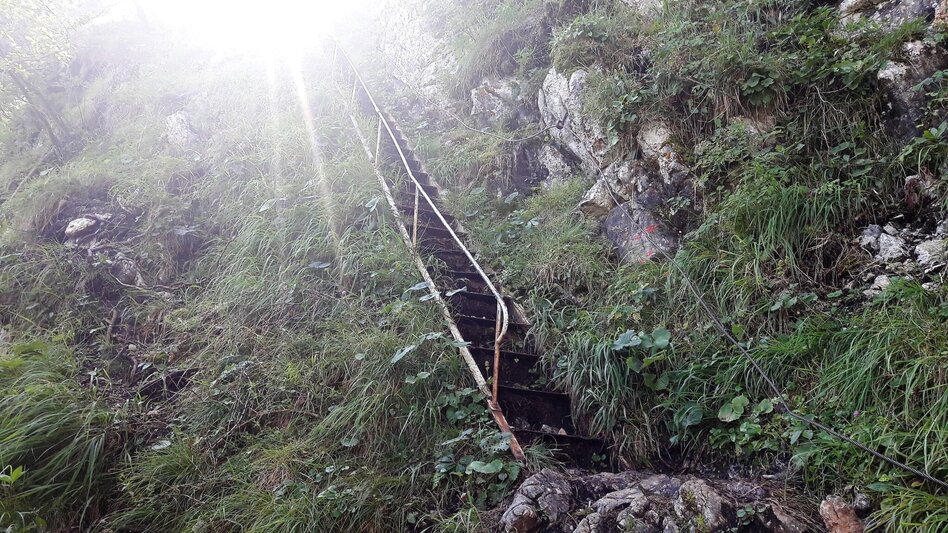Wasserweg Über den Wasserfallweg auf die Planspitze und über die Hesshütte hinunter nach Johnsbach - Touren-Impression #2.4 | © TV Gesäuse