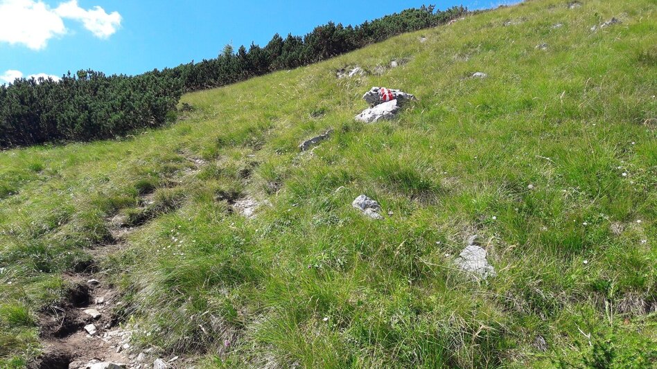 Wasserweg Über den Wasserfallweg auf die Planspitze und über die Hesshütte hinunter nach Johnsbach - Touren-Impression #2.8 | © TV Gesäuse
