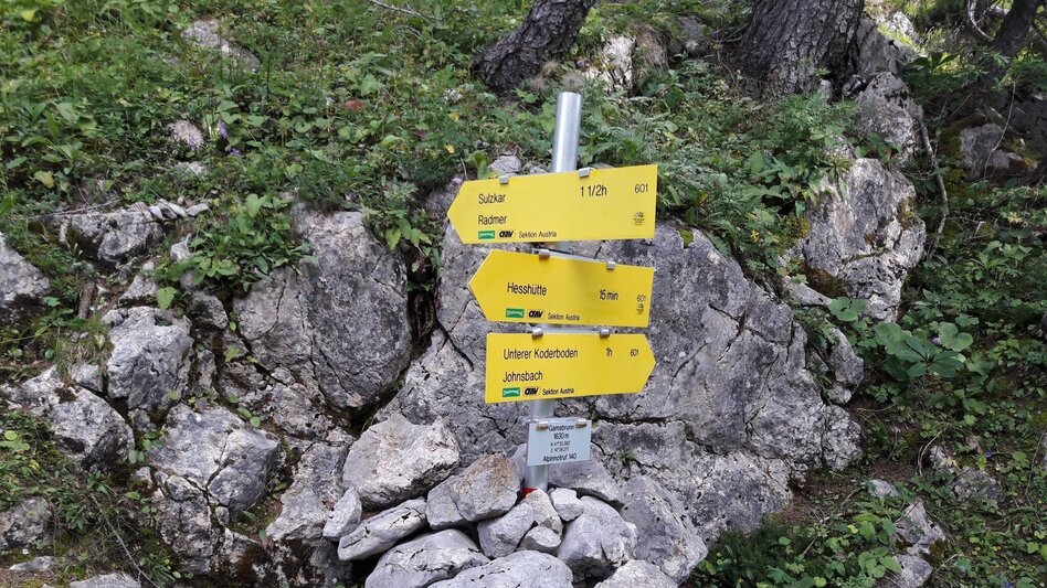 Wasserweg Über den Wasserfallweg auf die Planspitze und über die Hesshütte hinunter nach Johnsbach - Touren-Impression #2.15 | © TV Gesäuse