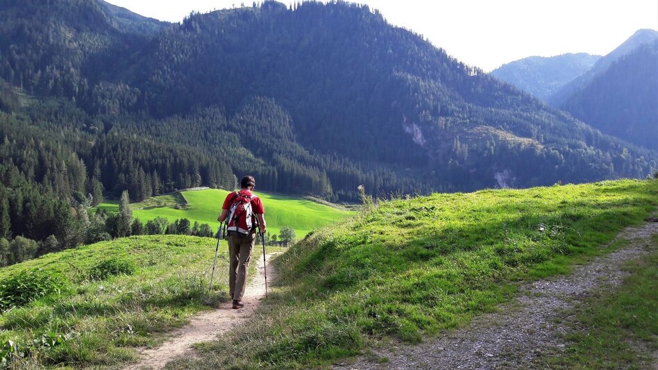 Wasserweg Über den Wasserfallweg auf die Planspitze und über die Hesshütte hinunter nach Johnsbach - Touren-Impression #2.16 | © TV Gesäuse