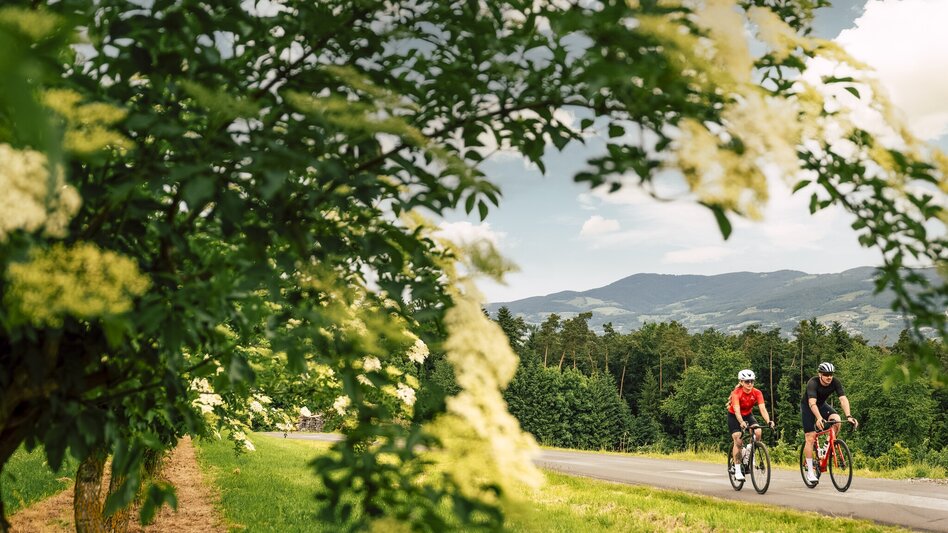 Road Cycling Apfelland & Pöllauer Tal Tour - Touren-Impression #2.1 | © Oststeiermark Tourismus