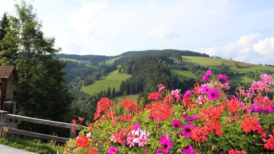 Wanderung HeilBrunnWeg, Brandlucken - Touren-Impression #2.5 | © Oststeiermark Tourismus