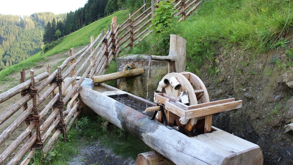 Wanderung HeilBrunnWeg, Brandlucken - Touren-Impression #2.6 | © Oststeiermark Tourismus