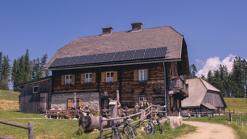 Mountainbike Mountainbike-Runde Krieglach - Malleisten Alm - Hönigsberger Alm - Krieglach - Touren-Impression #2.3 | © TV Hochsteiermark
