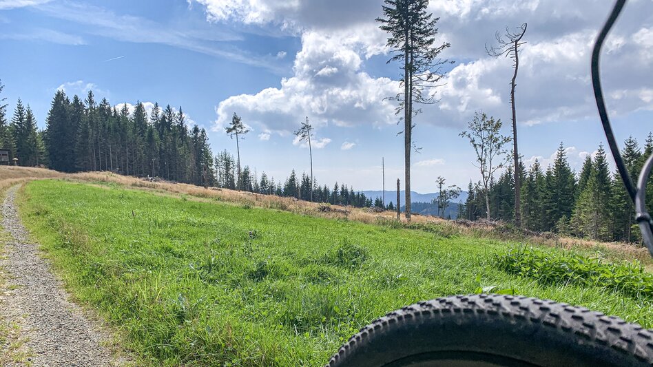 Mountain Biking Dreieckalm - a mountain bike dream tour - Touren-Impression #2.14 | © Südsteiermark