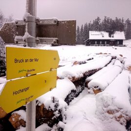 Auf der Schweizeben | © TV Hochsteiermark