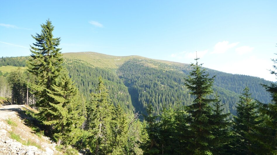 Wanderung Von der Stadt auf den Speik in 2 Tagen - Touren-Impression #2.5 | © Region Graz