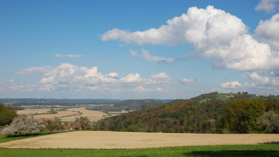 Wanderung Fürstenfelder Wasser - Wein - Wanderweg - Touren-Impression #2.1 | © Thermen- & Vulkanland