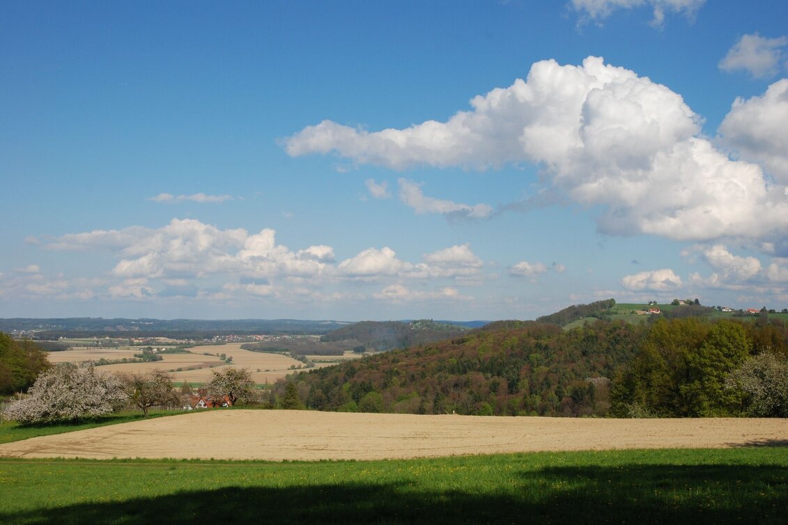 Wanderung Fürstenfelder Wasser - Wein - Wanderweg - Touren-Impression #1 | © Thermen- & Vulkanland