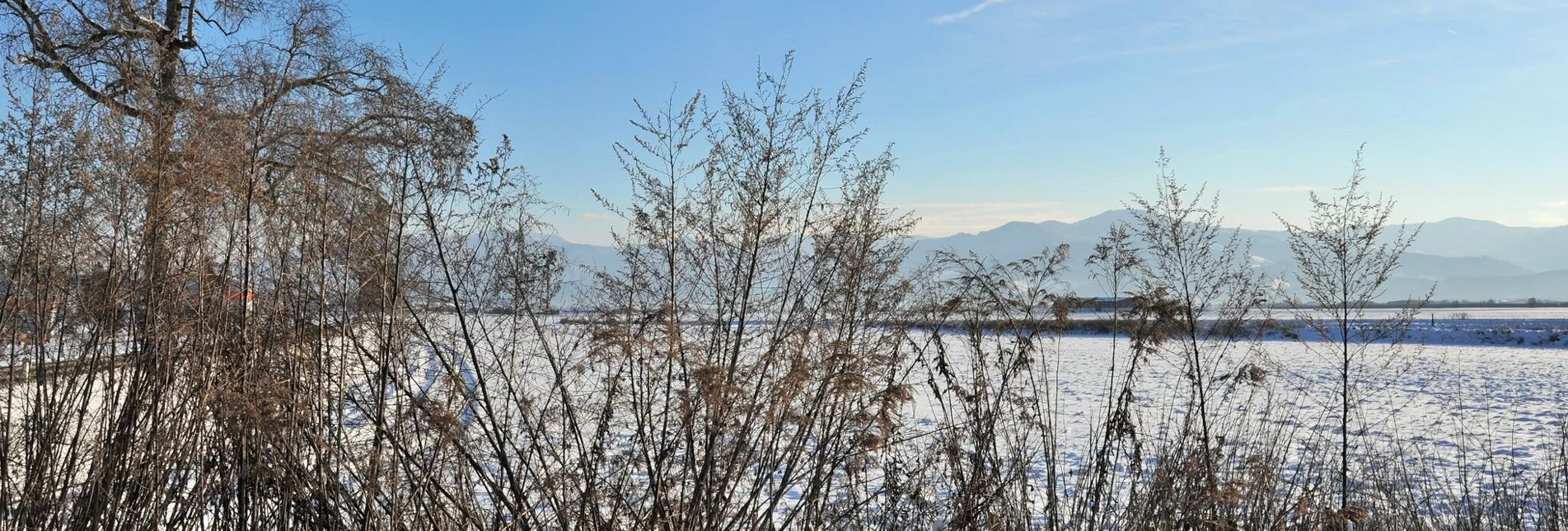 Winterwandern Natur Historien Lehrpfad im Winter - Touren-Impression #1 | © Erlebnisregion Murtal