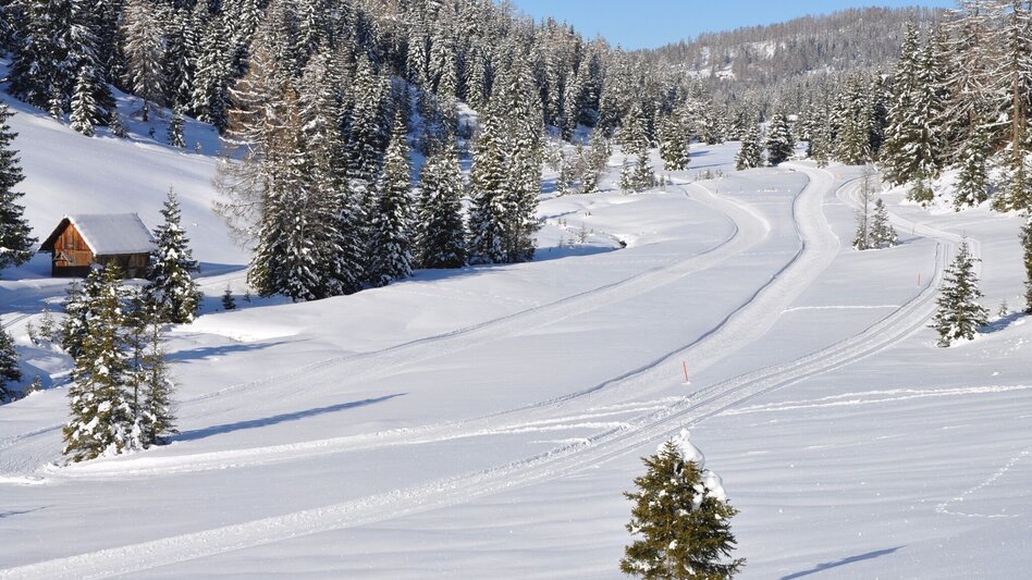 Langlauf Skating Höhenloipe Prebersee - Touren-Impression #2.1 | © Tourismusverband Murau