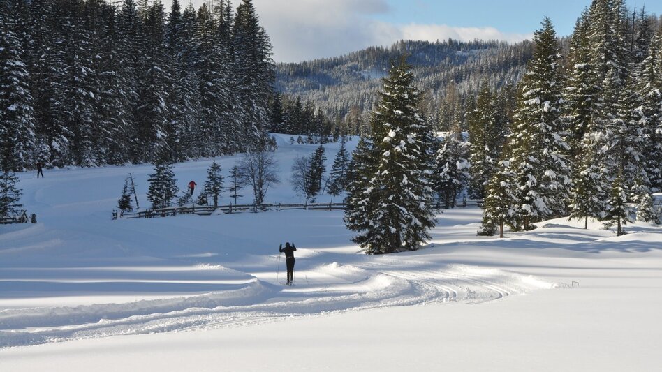 Langlauf Skating Höhenloipe Prebersee - Touren-Impression #2.2 | © Tourismusverband Murau
