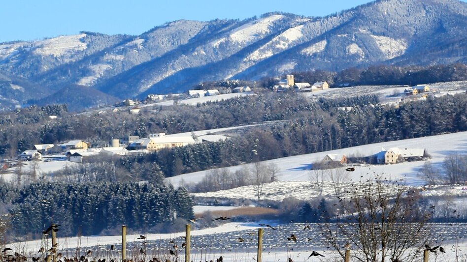 Winter Hiking Winter circuit Breiteggerweg - Touren-Impression #2.4 | © Oststeiermark Tourismus