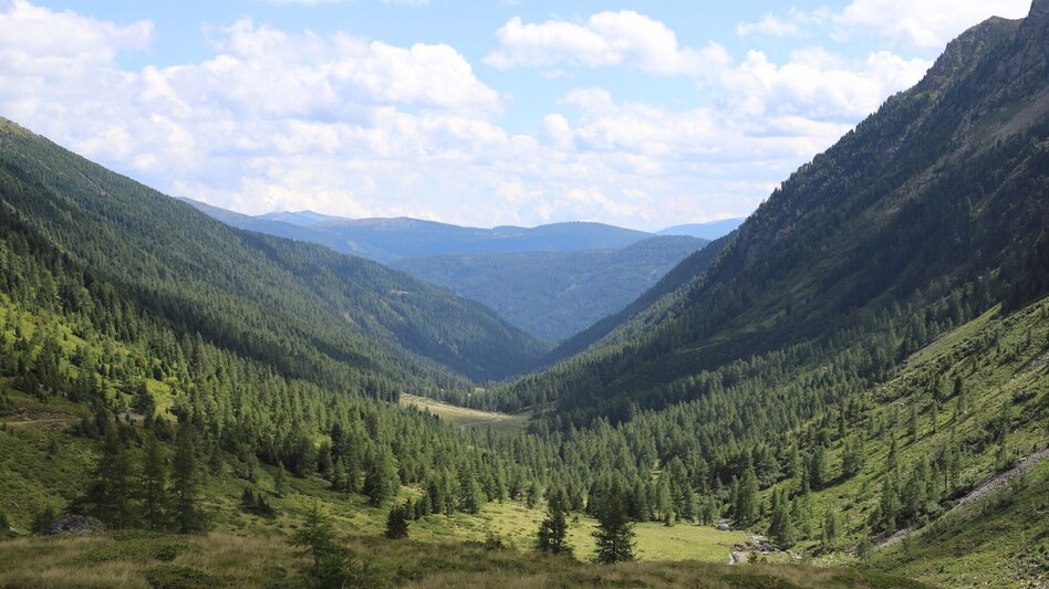 Hiking Route Power place hike 2: Rantensee - Touren-Impression #2.4 | © Tourismusverband Murau