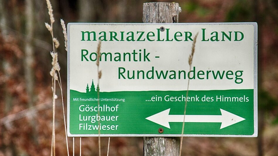 Wanderung Romantischer Rundwanderweg - Touren-Impression #2.1 | © www.mariazell.blog
