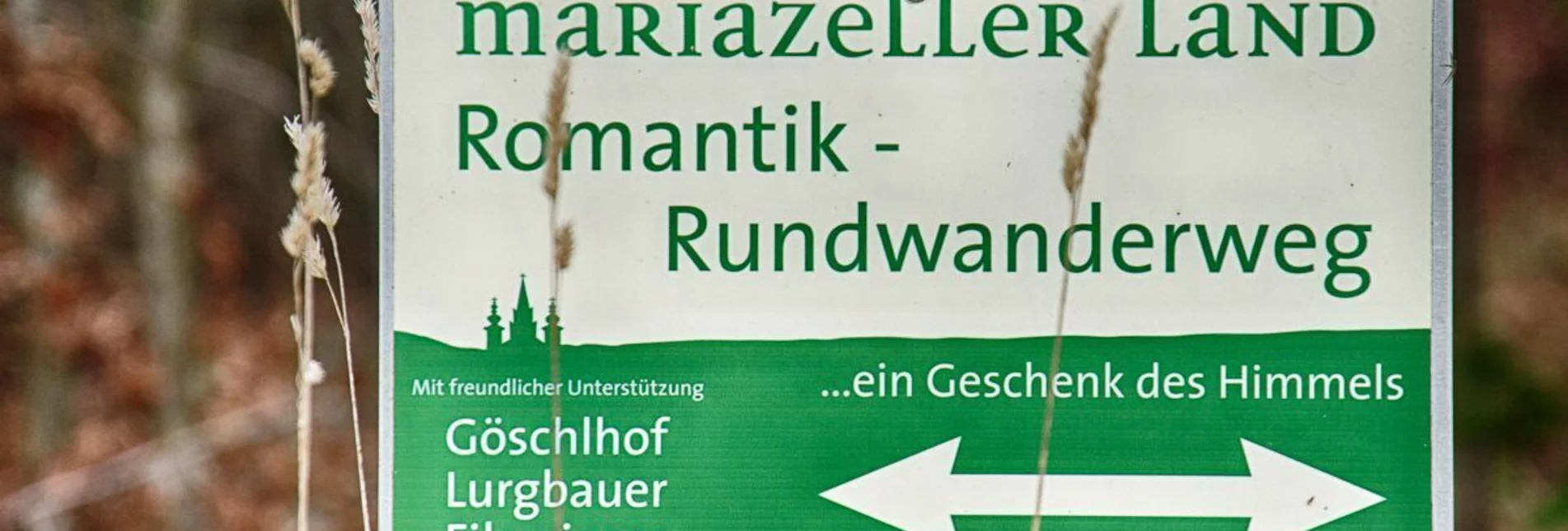 Wanderung Romantischer Rundwanderweg - Touren-Impression #1 | © www.mariazell.blog