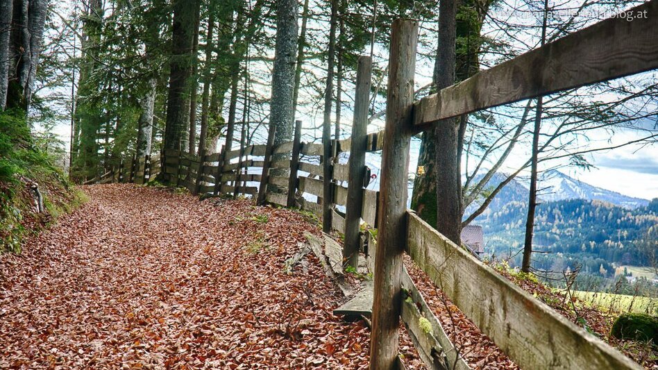 Wanderung Romantischer Rundwanderweg - Touren-Impression #2.2 | © www.mariazell.blog