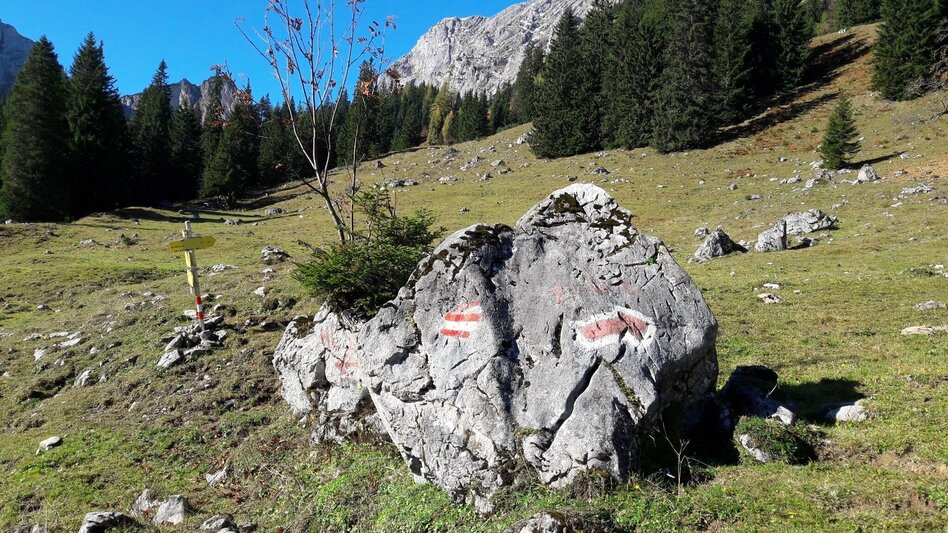 Bergtour Hochzinödl über den Hartelsgraben und das Sulzkar - Touren-Impression #2.11 | © TV Gesäuse