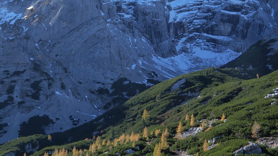 Bergtour Hochzinödl über den Hartelsgraben und das Sulzkar - Touren-Impression #2.19 | © TV Gesäuse