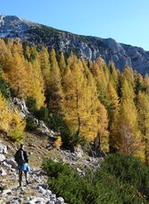 Der Beginn des Abstiegsweges hinunter ins Johnsbachtal | © TV Gesäuse | Tourismusverband Gesäuse | © TV Gesäuse