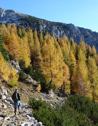 Der Beginn des Abstiegsweges hinunter ins Johnsbachtal | Tourismusverband Gesäuse | © TV Gesäuse