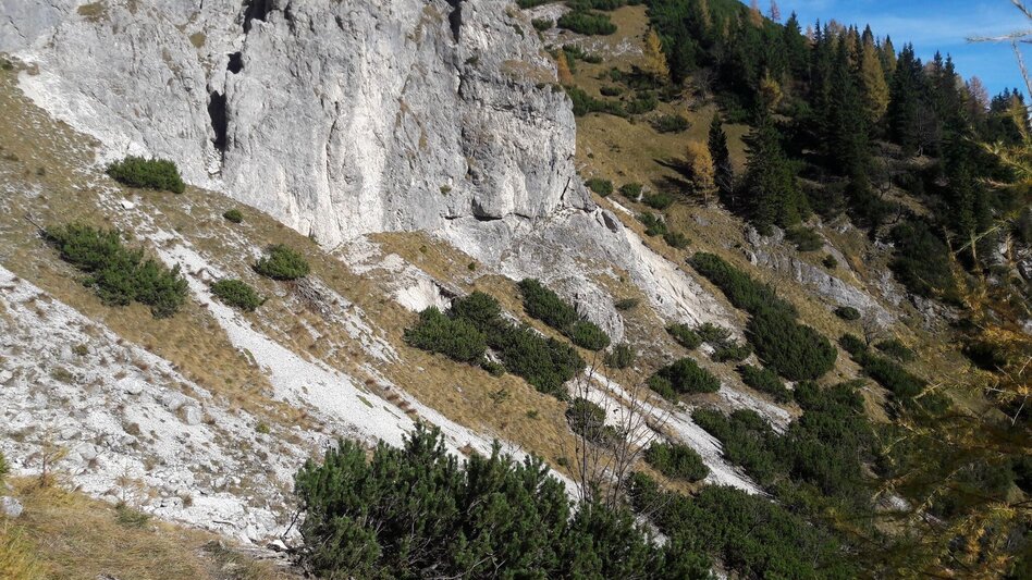 Bergtour Tieflimauer via Mühlgraben , Teufelsteig  und Ennstaler Hütte - Touren-Impression #2.5 | © TV Gesäuse