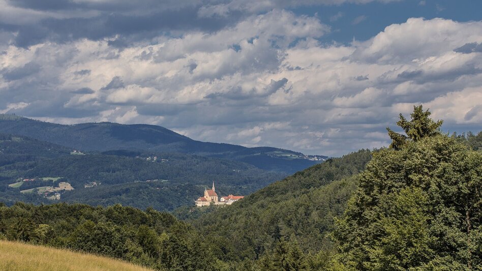 Pilgerweg Vom Stift Rein zum Steirischen Steffl - Touren-Impression #2.5 | © Region Graz