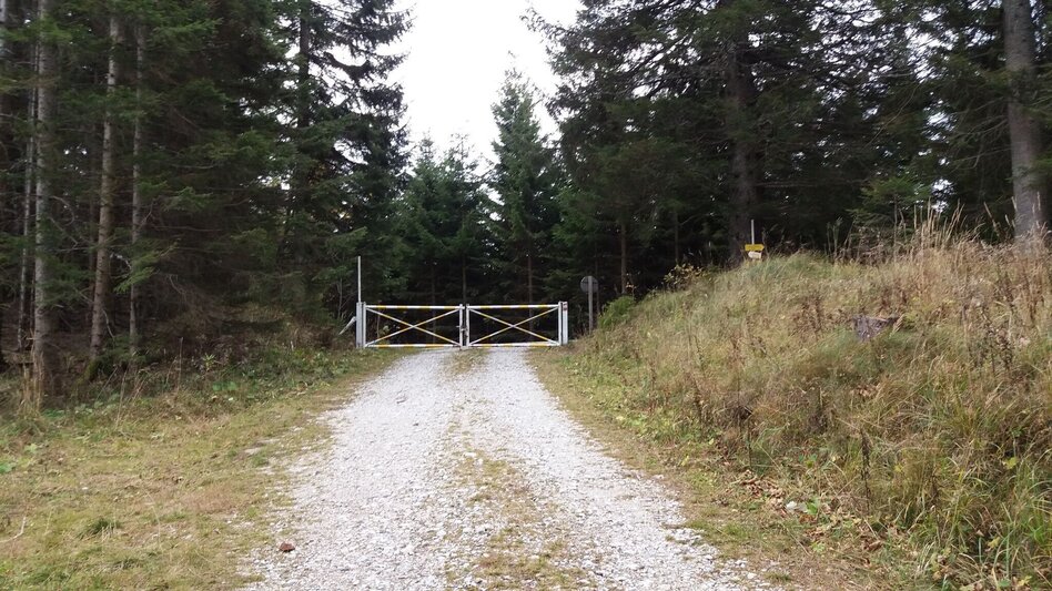 Hiking Route Kleiner Buchwaldweg - Touren-Impression #2.7 | © Region Graz