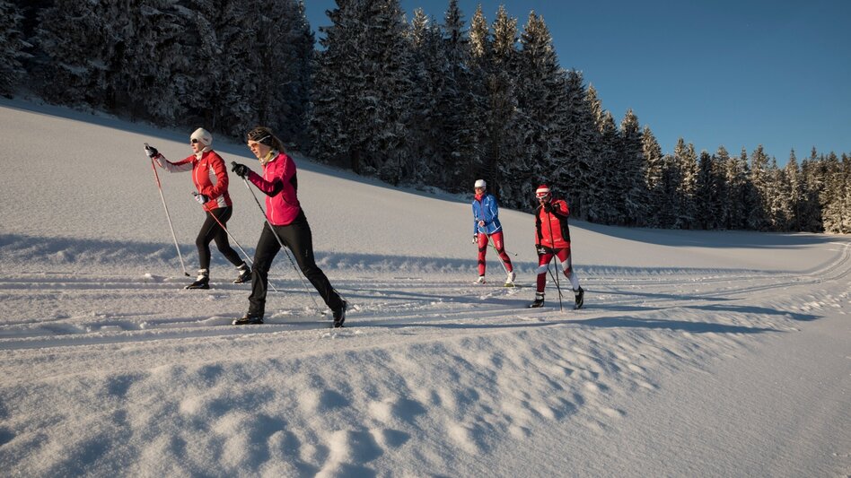 Langlauf Skating Blochplatz-Loipe Joglland-Loipe, St. Jakob im Walde - Touren-Impression #2.4